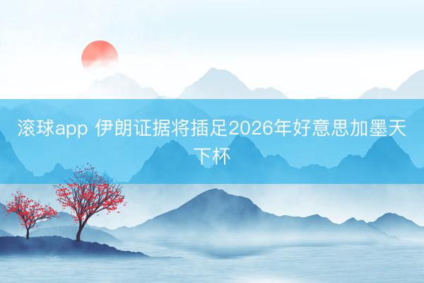 滚球app 伊朗证据将插足2026年好意思加墨天下杯