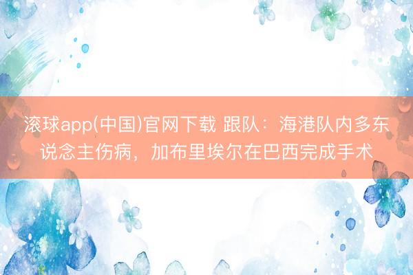 滚球app(中国)官网下载 跟队：海港队内多东说念主伤病，加布里埃尔在巴西完成手术