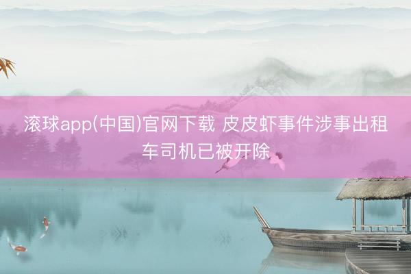 滚球app(中国)官网下载 皮皮虾事件涉事出租车司机已被开除