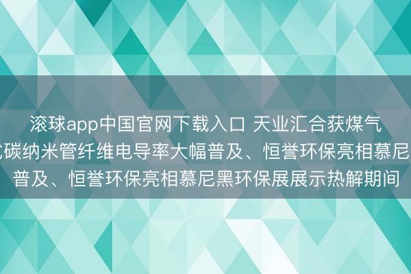 滚球app中国官网下载入口 天业汇合获煤气化净化安装专利、新式碳纳米管纤维电导率大幅普及、恒誉环保亮相慕尼黑环保展展示热解期间