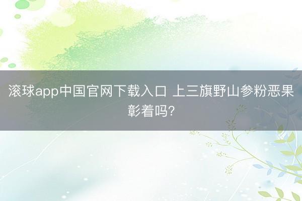 滚球app中国官网下载入口 上三旗野山参粉恶果彰着吗？