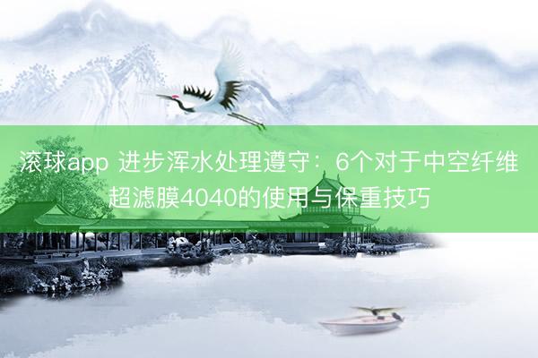 滚球app 进步浑水处理遵守：6个对于中空纤维超滤膜4040的使