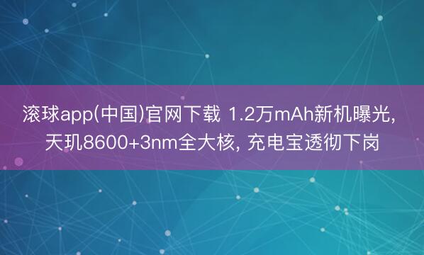 滚球app(中国)官网下载 1.2万mAh新机曝光， 天玑8600+3nm全大核， 充电宝透彻下岗