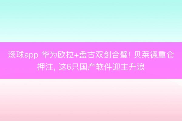 滚球app 华为欧拉+盘古双剑合璧! 贝莱德重仓押注， 这6只国产软件迎主升浪