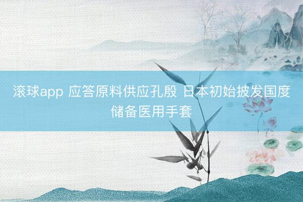 滚球app 应答原料供应孔殷 日本初始披发国度储备医用手套