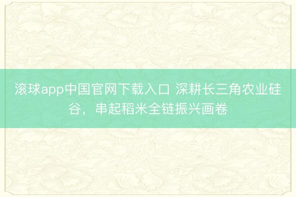 滚球app中国官网下载入口 深耕长三角农业硅谷，串起稻米全链振兴画卷