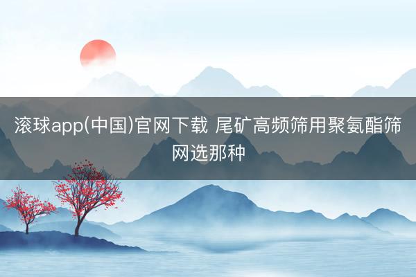滚球app(中国)官网下载 尾矿高频筛用聚氨酯筛网选那种