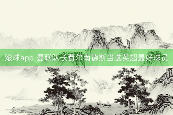 滚球app 曼联队长费尔南德斯当选英超最好球员
