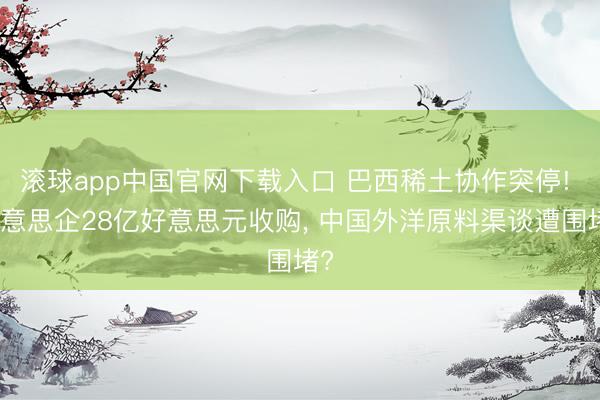 滚球app中国官网下载入口 巴西稀土协作突停! 好意思企28亿好意思元收购， 中国外洋原料渠谈遭围堵?