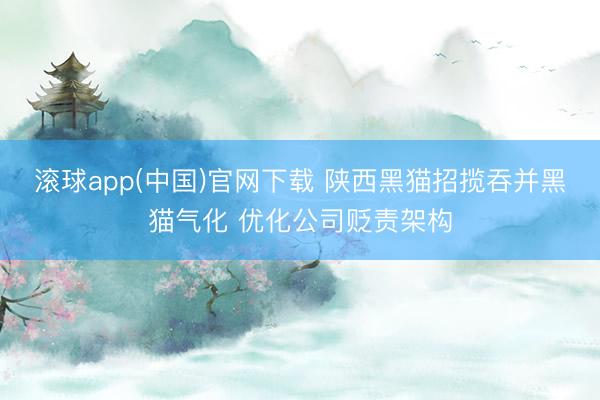 滚球app(中国)官网下载 陕西黑猫招揽吞并黑猫气化 优化公司贬责架构
