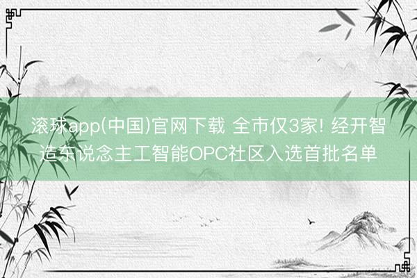 滚球app(中国)官网下载 全市仅3家! 经开智造东说念主工智能OPC社区入选首批名单