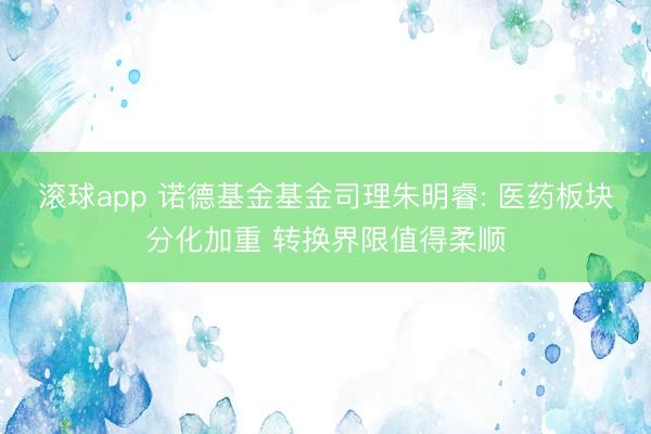 滚球app 诺德基金基金司理朱明睿: 医药板块分化加重 转换界限值得柔顺