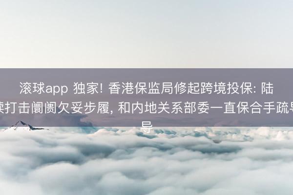 滚球app 独家! 香港保监局修起跨境投保: 陆续打击阛阓欠妥步履， 和内地关系部委一直保合手疏导