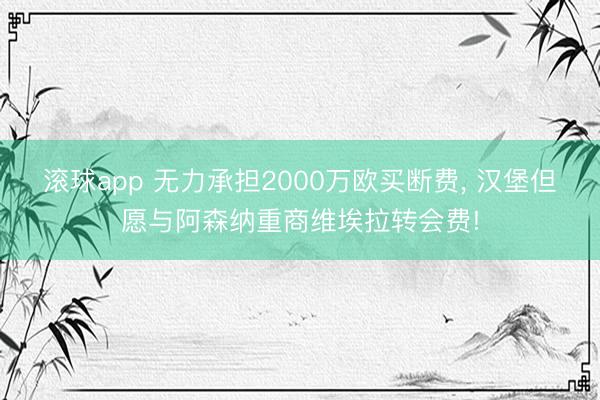 滚球app 无力承担2000万欧买断费， 汉堡但愿与阿森纳重商维埃拉转会费!