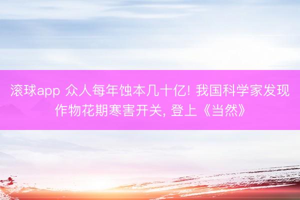 滚球app 众人每年蚀本几十亿! 我国科学家发现作物花期寒害开关， 登上《当然》