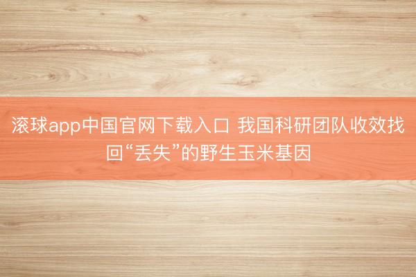 滚球app中国官网下载入口 我国科研团队收效找回“丢失”的野生玉米基因
