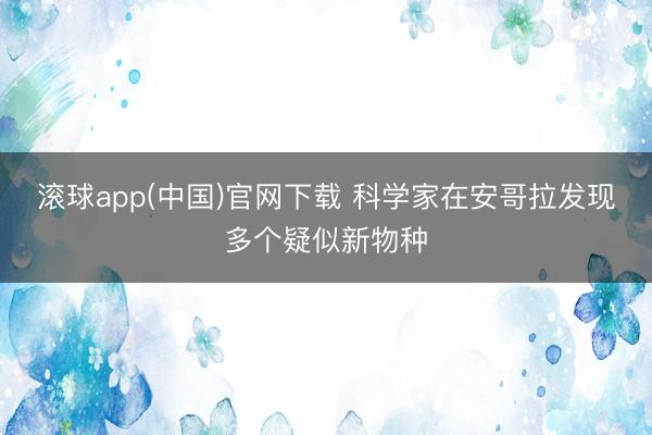 滚球app(中国)官网下载 科学家在安哥拉发现多个疑似新物种