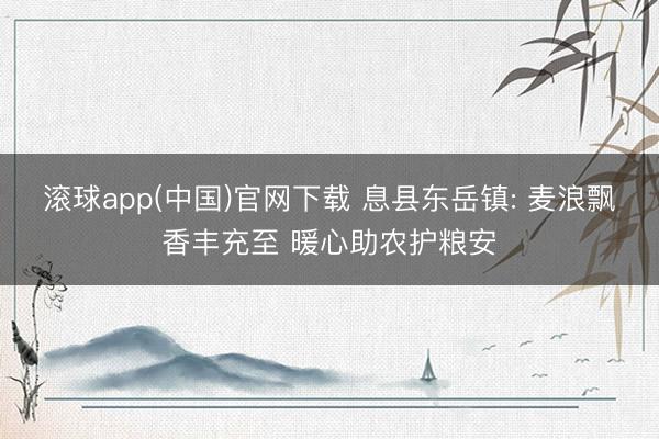 滚球app(中国)官网下载 息县东岳镇: 麦浪飘香丰充至 暖心助农护粮安