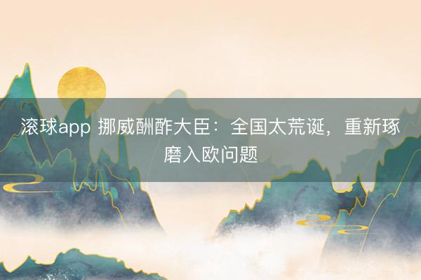 滚球app 挪威酬酢大臣：全国太荒诞，重新琢磨入欧问题