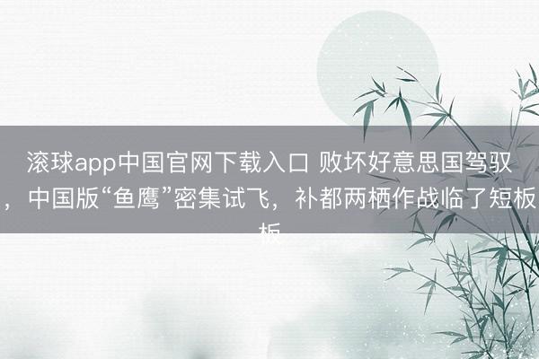 滚球app中国官网下载入口 败坏好意思国驾驭，中国版“鱼鹰”密集试飞，补都两栖作战临了短板