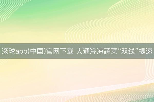 滚球app(中国)官网下载 大通冷凉蔬菜“双线”提速