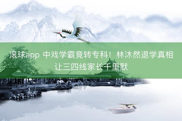 滚球app 中戏学霸竟转专科！林沐然退学真相让三四线家长千里默