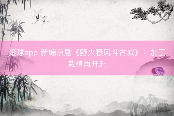 滚球app 新编京剧《野火春风斗古城》：加工栽植再开赴