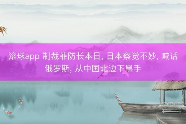 滚球app 制裁菲防长本日， 日本察觉不妙， 喊话俄罗斯， 从中国北边下黑手