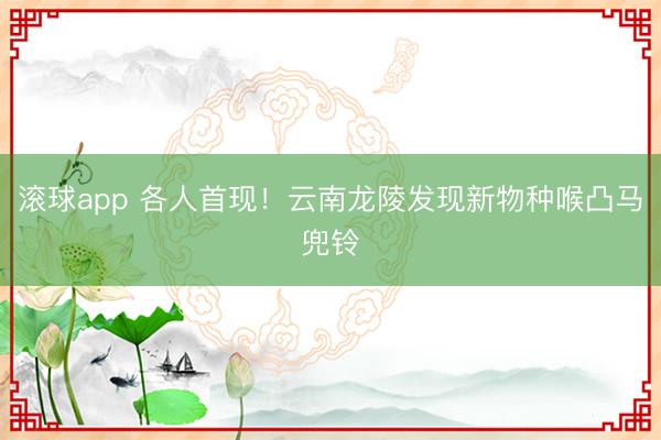 滚球app 各人首现！云南龙陵发现新物种喉凸马兜铃