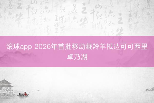 滚球app 2026年首批移动藏羚羊抵达可可西里卓乃湖