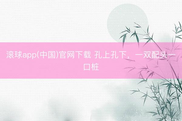 滚球app(中国)官网下载 孔上孔下，一双配头一口桩