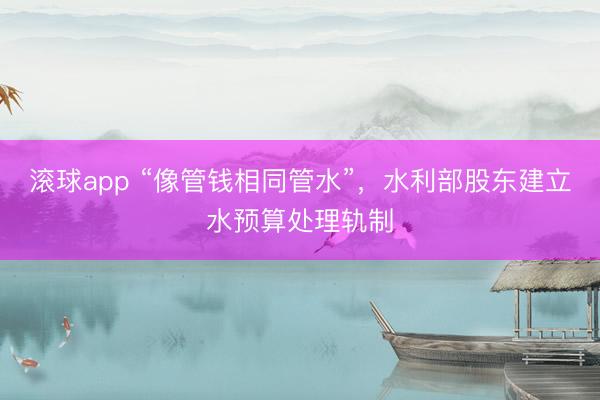 滚球app “像管钱相同管水”，水利部股东建立水预算处理轨制