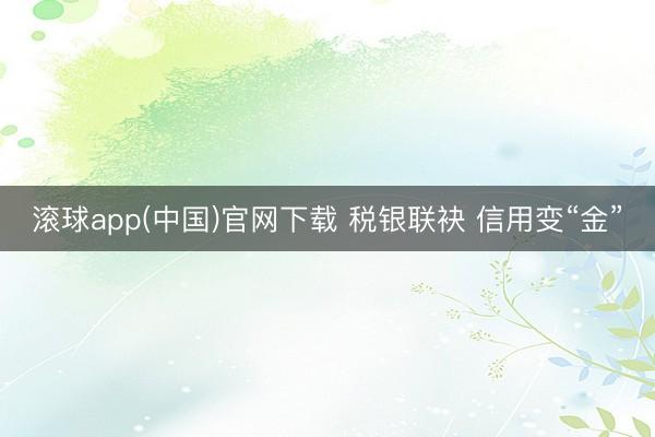 滚球app(中国)官网下载 税银联袂 信用变“金”