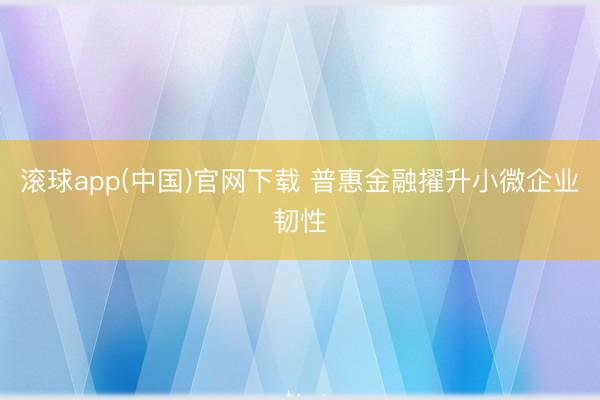 滚球app(中国)官网下载 普惠金融擢升小微企业韧性