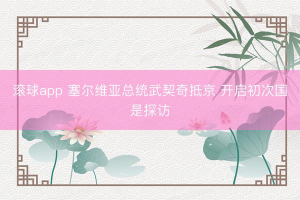 滚球app 塞尔维亚总统武契奇抵京 开启初次国是探访