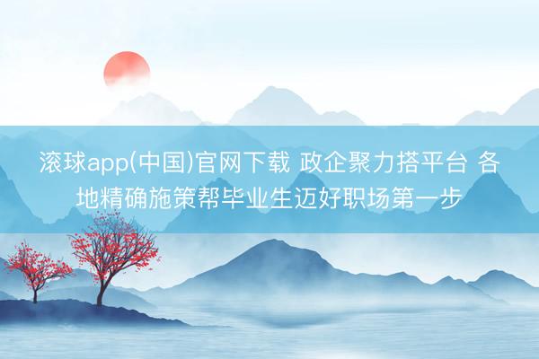 滚球app(中国)官网下载 政企聚力搭平台 各地精确施策帮毕业生迈好职场第一步