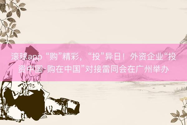 滚球app “购”精彩，“投”异日！外资企业“投资中国·购在中国”对接雷同会在广州举办