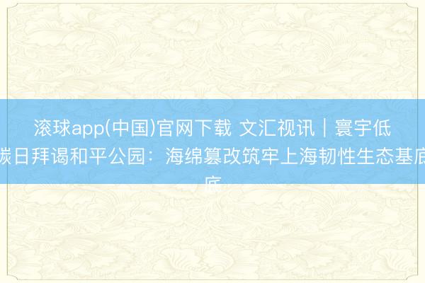 滚球app(中国)官网下载 文汇视讯｜寰宇低碳日拜谒和平公园：海绵篡改筑牢上海韧性生态基底
