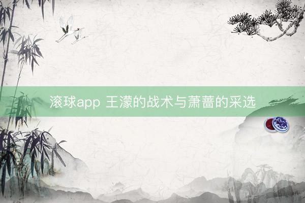 滚球app 王濛的战术与萧蔷的采选